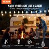 VEVOR LED Outdoor String Lights, 50FT, 2700K Dimmable Outside Patio Lights with 15 S14 Shatterproof Bulbs E12 Socket Base